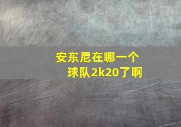 安东尼在哪一个球队2k20了啊