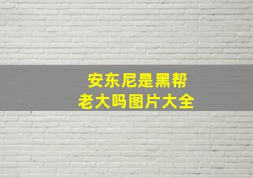 安东尼是黑帮老大吗图片大全