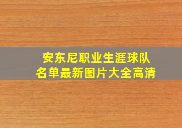 安东尼职业生涯球队名单最新图片大全高清