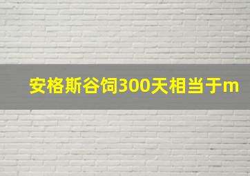 安格斯谷饲300天相当于m