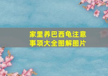 家里养巴西龟注意事项大全图解图片