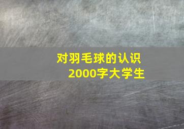 对羽毛球的认识2000字大学生