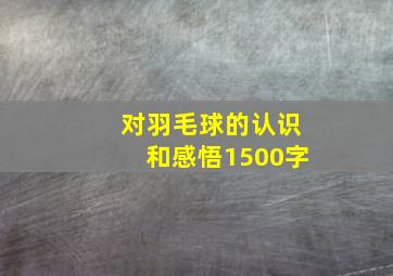 对羽毛球的认识和感悟1500字