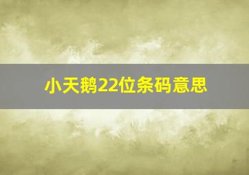 小天鹅22位条码意思