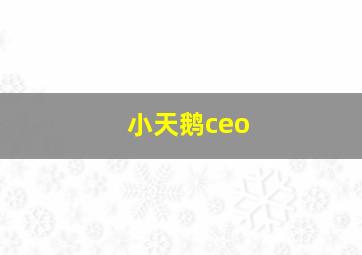 小天鹅ceo