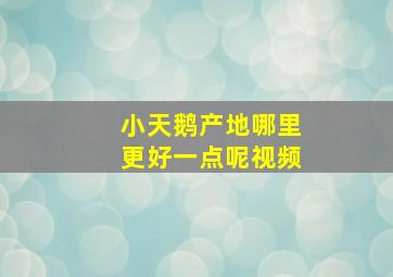 小天鹅产地哪里更好一点呢视频