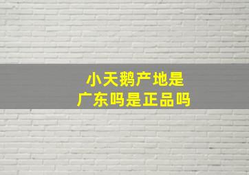 小天鹅产地是广东吗是正品吗