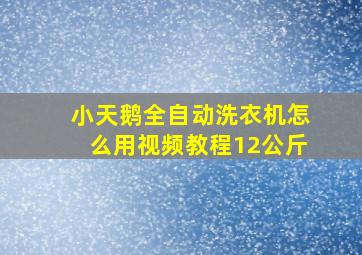 小天鹅全自动洗衣机怎么用视频教程12公斤