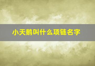 小天鹅叫什么项链名字