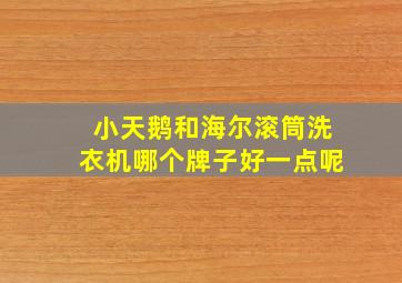 小天鹅和海尔滚筒洗衣机哪个牌子好一点呢