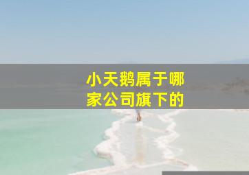 小天鹅属于哪家公司旗下的