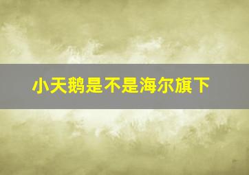 小天鹅是不是海尔旗下