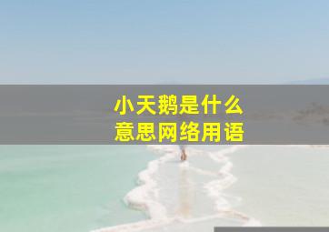 小天鹅是什么意思网络用语