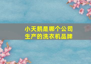 小天鹅是哪个公司生产的洗衣机品牌