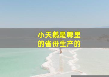 小天鹅是哪里的省份生产的