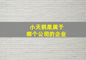 小天鹅是属于哪个公司的企业