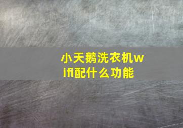 小天鹅洗衣机wifi配什么功能