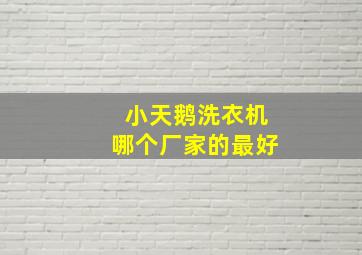 小天鹅洗衣机哪个厂家的最好