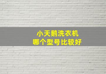 小天鹅洗衣机哪个型号比较好