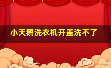 小天鹅洗衣机开盖洗不了