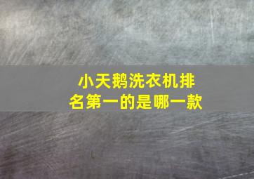 小天鹅洗衣机排名第一的是哪一款