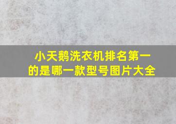 小天鹅洗衣机排名第一的是哪一款型号图片大全