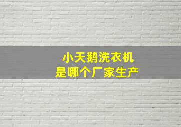 小天鹅洗衣机是哪个厂家生产