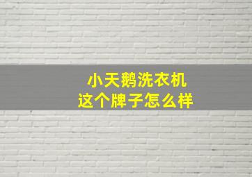 小天鹅洗衣机这个牌子怎么样