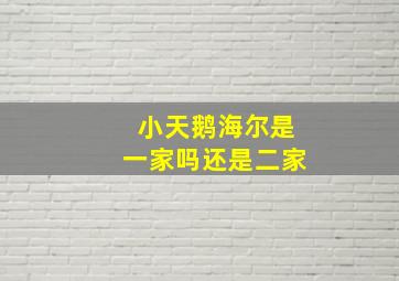 小天鹅海尔是一家吗还是二家