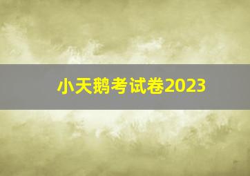 小天鹅考试卷2023