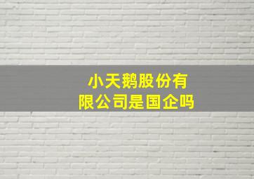 小天鹅股份有限公司是国企吗