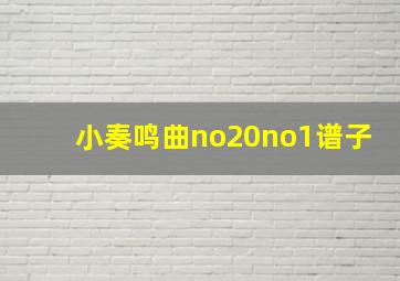 小奏鸣曲no20no1谱子