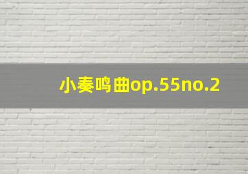 小奏鸣曲op.55no.2