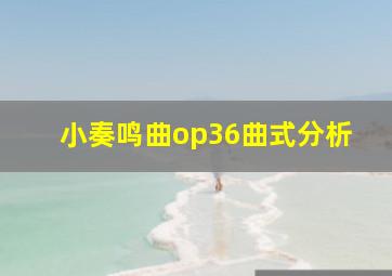 小奏鸣曲op36曲式分析