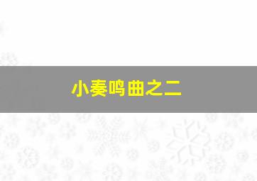 小奏鸣曲之二