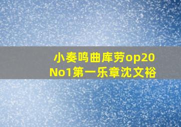 小奏鸣曲库劳op20No1第一乐章沈文裕