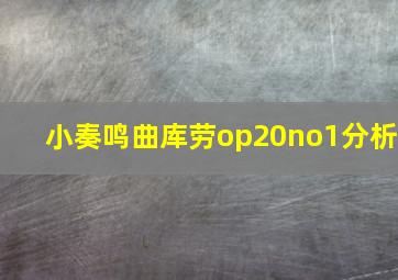 小奏鸣曲库劳op20no1分析