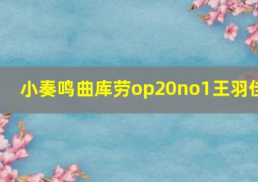 小奏鸣曲库劳op20no1王羽佳