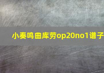 小奏鸣曲库劳op20no1谱子