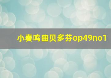 小奏鸣曲贝多芬op49no1