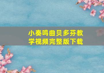 小奏鸣曲贝多芬教学视频完整版下载