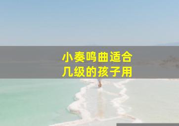 小奏鸣曲适合几级的孩子用