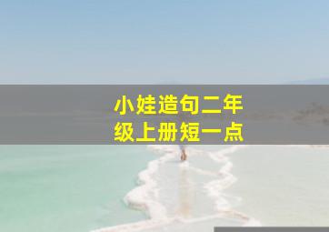 小娃造句二年级上册短一点