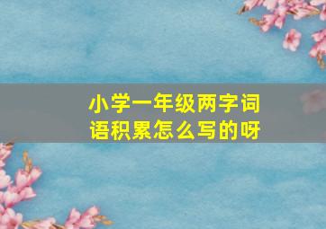 小学一年级两字词语积累怎么写的呀