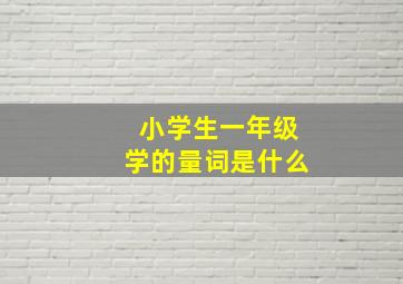 小学生一年级学的量词是什么