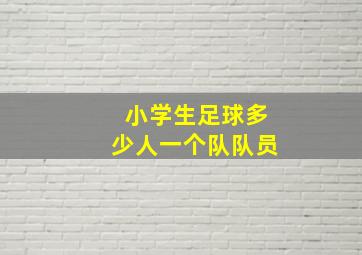 小学生足球多少人一个队队员