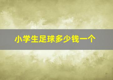 小学生足球多少钱一个