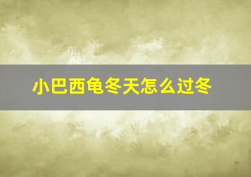 小巴西龟冬天怎么过冬