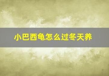 小巴西龟怎么过冬天养