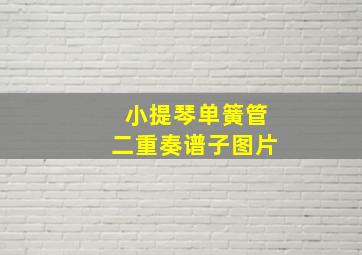 小提琴单簧管二重奏谱子图片